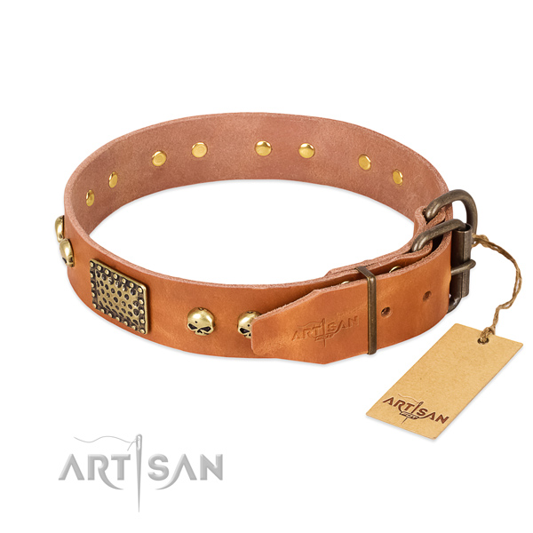 Strong buckle on everyday use dog collar