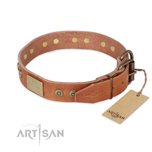 Rust resistant D-ring on genuine leather collar for daily walking your doggie