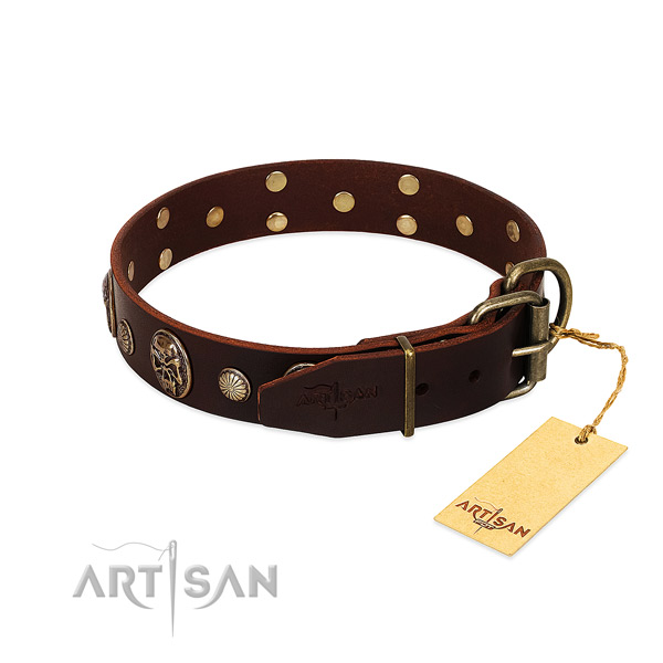 Durable decorations on daily use dog collar