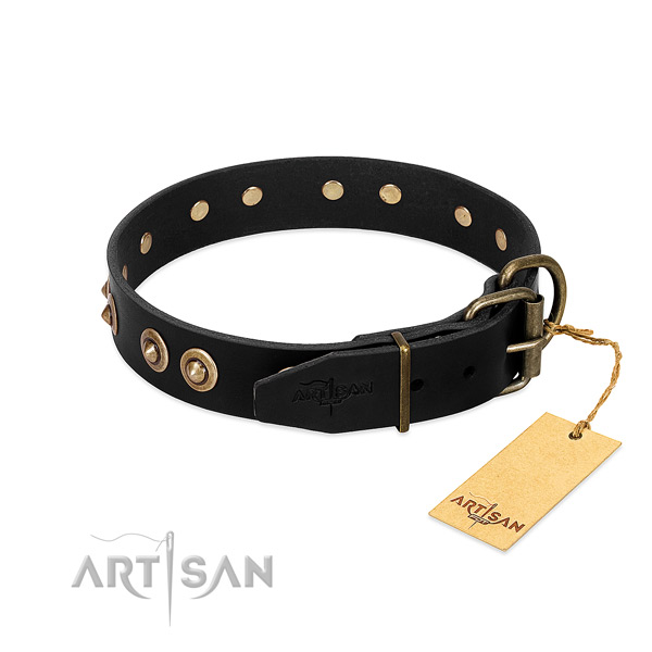 Reliable embellishments on genuine leather dog collar for your canine