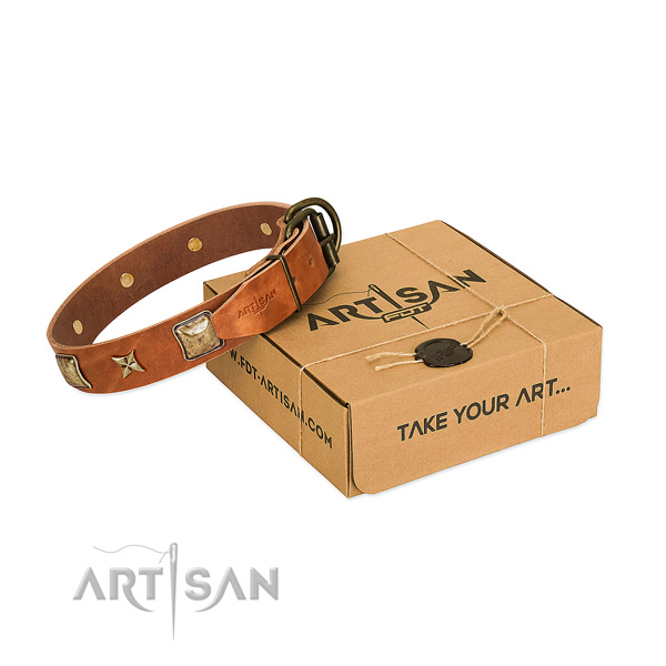 Incredible genuine leather collar for your impressive dog