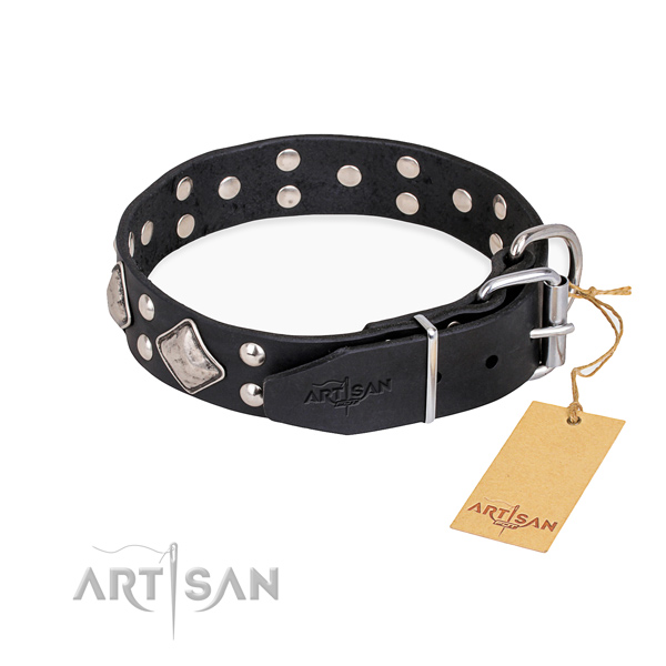 Full grain natural leather dog collar with stunning corrosion proof adornments