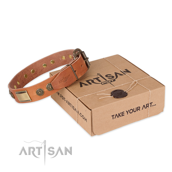 Rust-proof fittings on full grain leather dog collar for walking