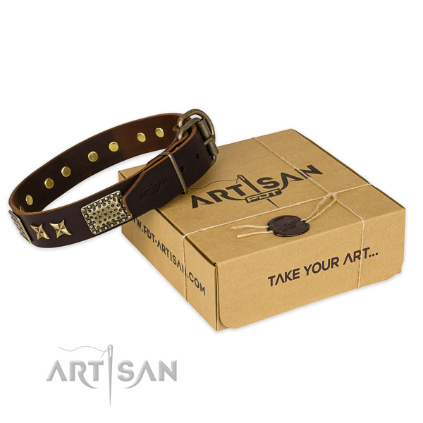 Rust resistant buckle on full grain genuine leather collar for your lovely dog