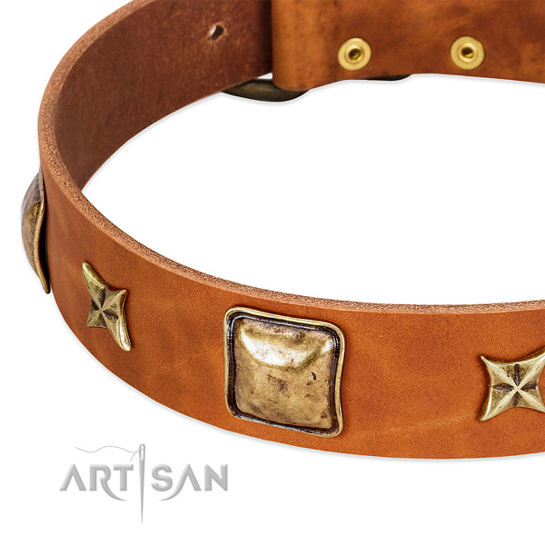 Rust-proof decorations on full grain genuine leather dog collar for your doggie