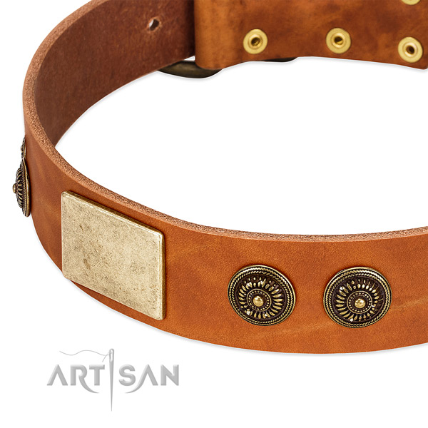 Inimitable dog collar crafted for your handsome doggie