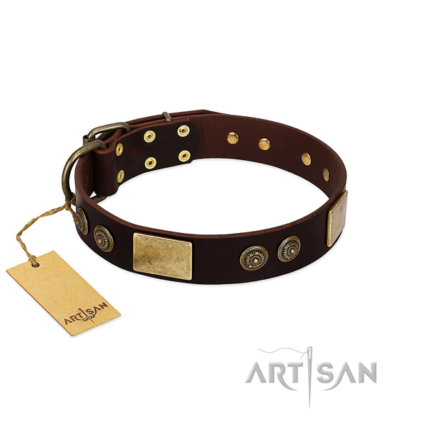 Corrosion proof studs on full grain leather dog collar for your pet