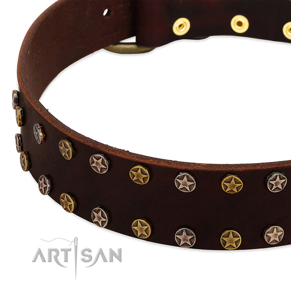 Easy wearing natural leather dog collar with top notch adornments
