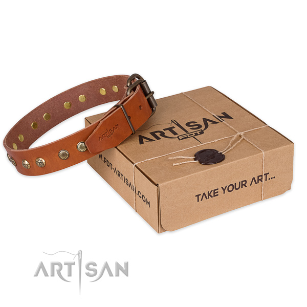 Durable buckle on full grain natural leather collar for your beautiful doggie