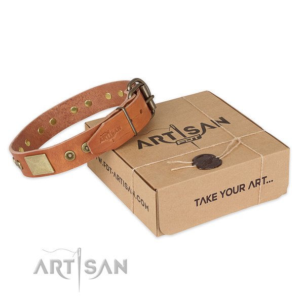 Reliable traditional buckle on leather dog collar for stylish walking