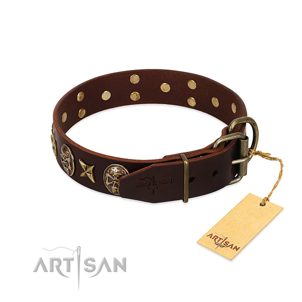 Genuine leather dog collar with reliable hardware and embellishments