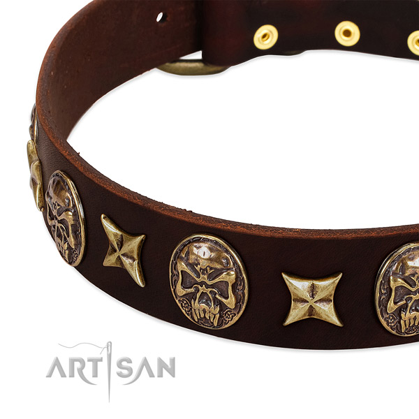 Reliable studs on leather dog collar for your pet