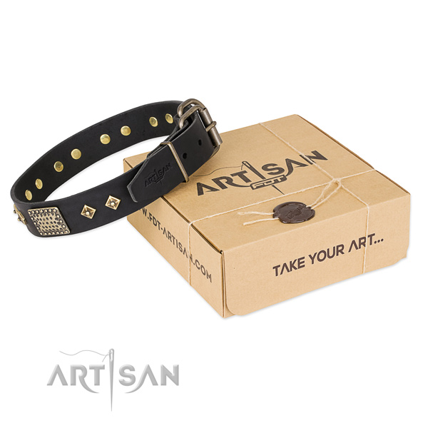 Exceptional full grain natural leather collar for your handsome doggie