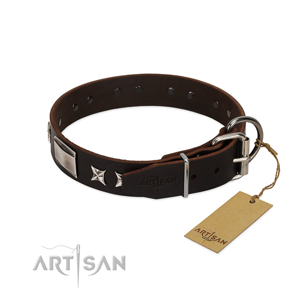 Exquisite collar of full grain genuine leather for your attractive canine