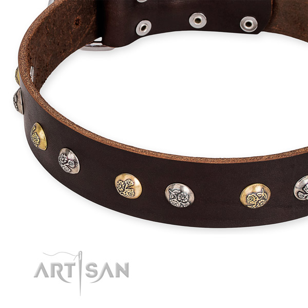 Full grain genuine leather dog collar with incredible strong adornments