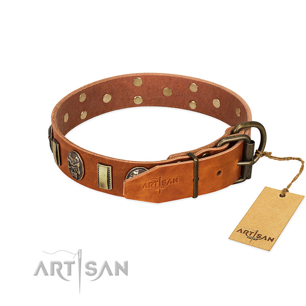 Rust-proof traditional buckle on leather collar for everyday walking your dog