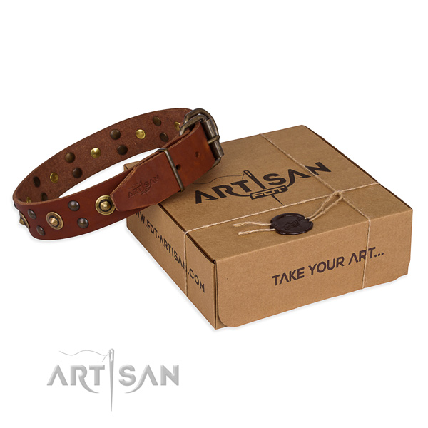 Corrosion proof hardware on full grain leather collar for your stylish pet