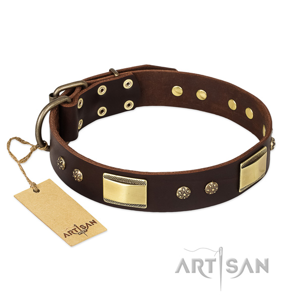 Full grain leather dog collar with strong D-ring and adornments