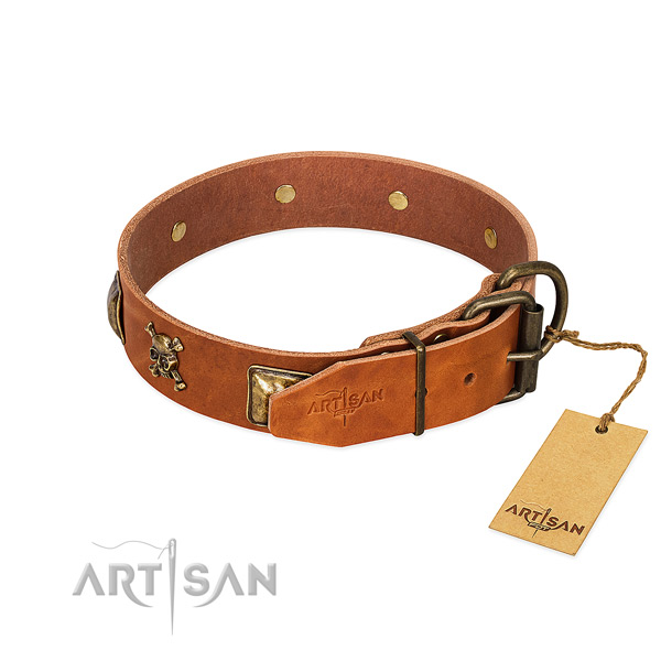 Exquisite leather dog collar with strong studs