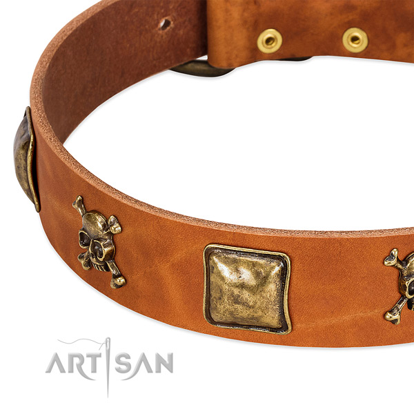 Trendy natural leather dog collar with strong studs