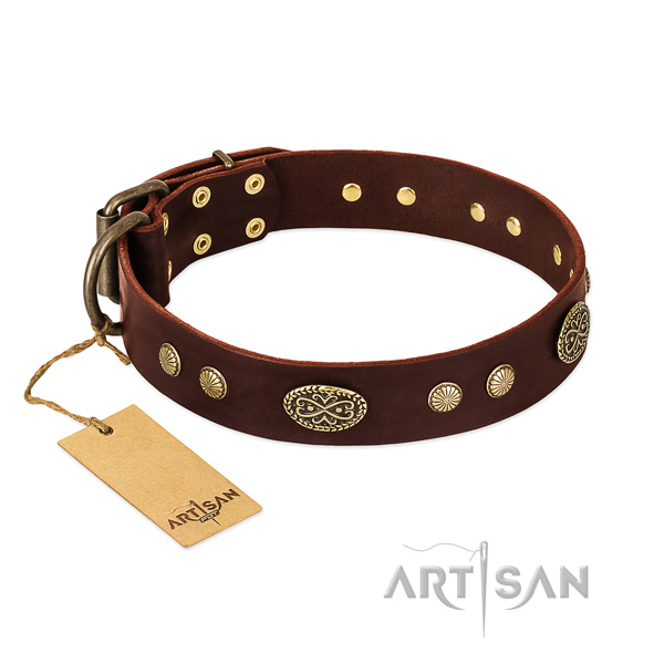 Durable decorations on full grain natural leather dog collar for your four-legged friend