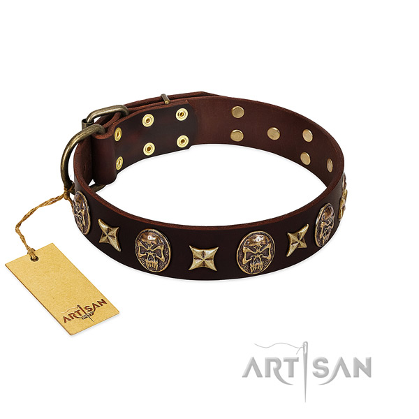 Adorned genuine leather collar for your canine