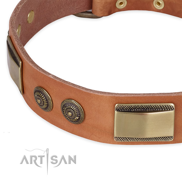 Studded full grain natural leather collar for your stylish pet