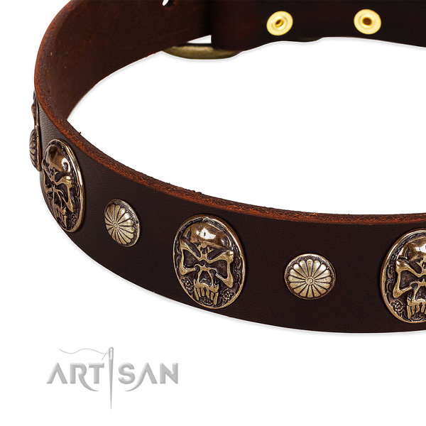 Full grain natural leather dog collar with decorations for stylish walking