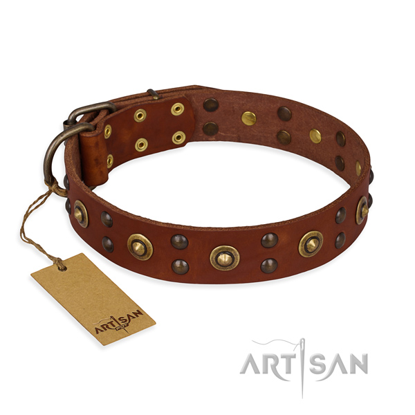 Exquisite genuine leather dog collar with durable traditional buckle