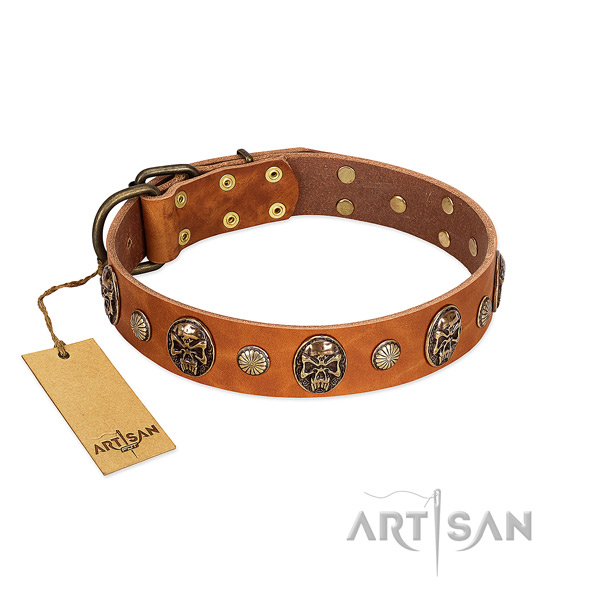 Adjustable full grain genuine leather dog collar for everyday walking