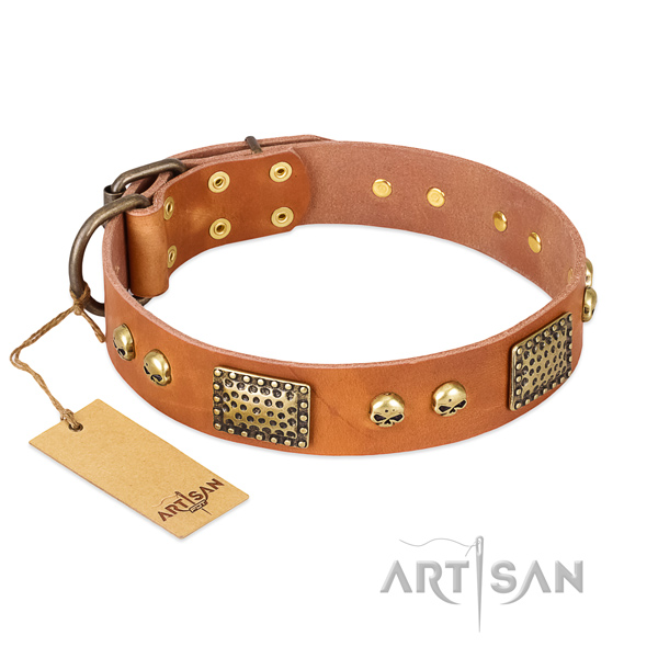 Easy adjustable genuine leather dog collar for everyday walking your dog