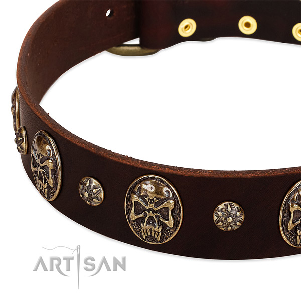 Rust resistant buckle on leather dog collar for your four-legged friend