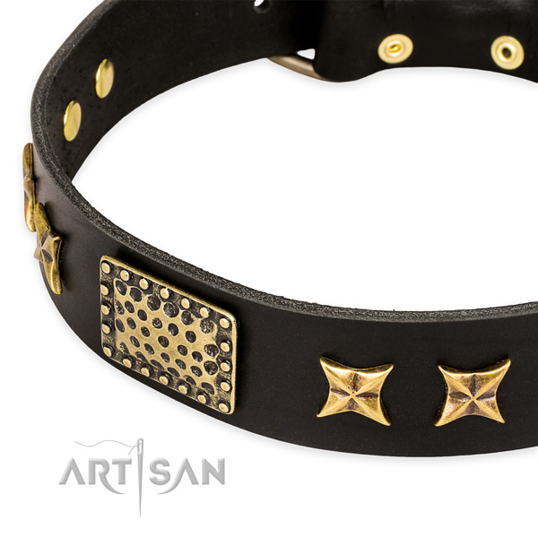 Leather collar with durable hardware for your handsome four-legged friend