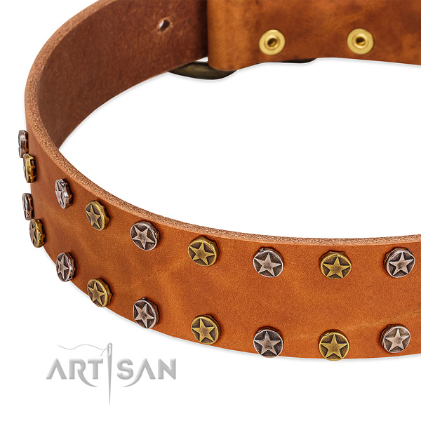 Easy wearing full grain leather dog collar with top notch adornments
