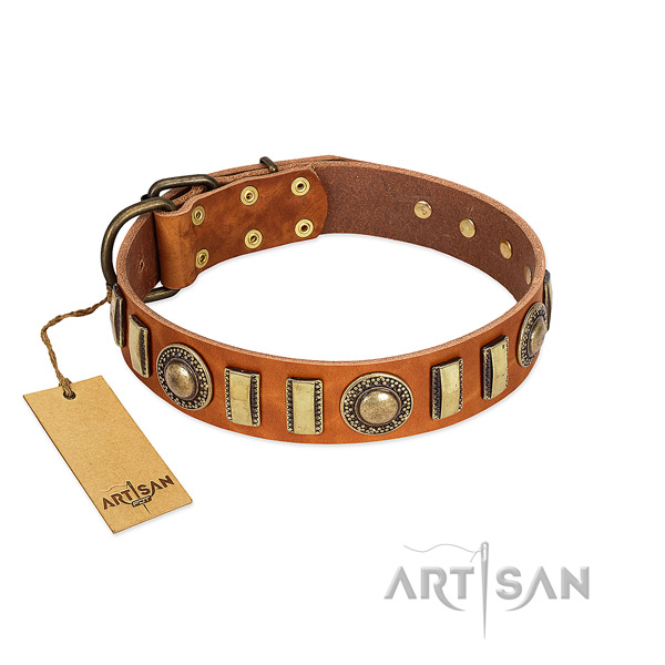Studded genuine leather dog collar with rust resistant traditional buckle