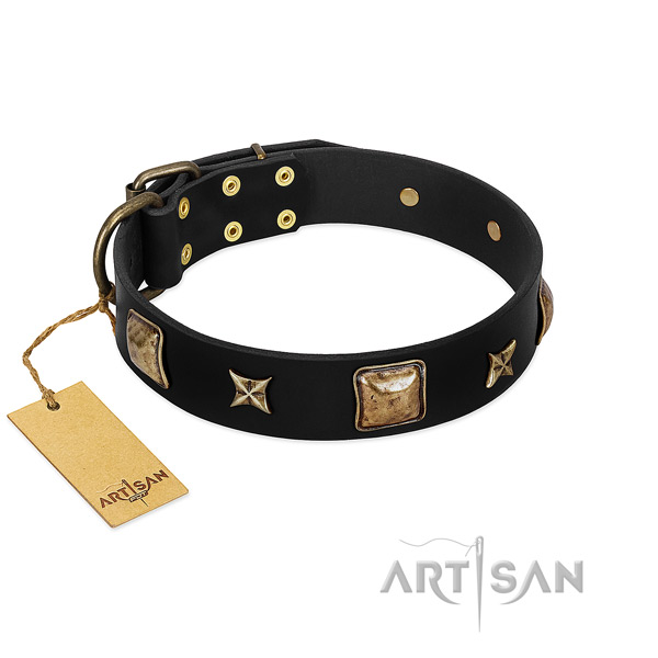 Full grain natural leather dog collar of soft to touch material with extraordinary embellishments