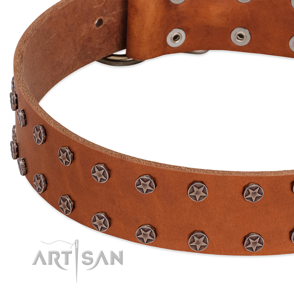Unique full grain leather dog collar for easy wearing